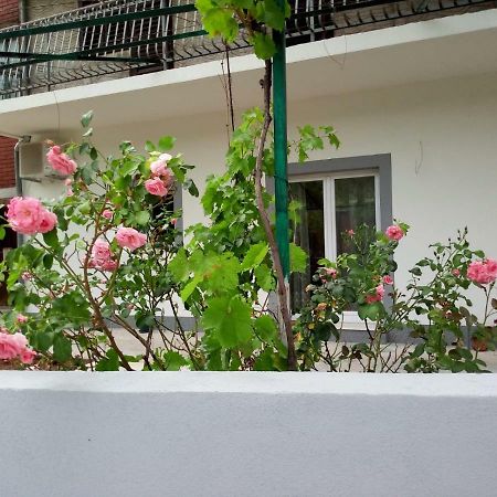 Apartmani Alma Skradin Extérieur photo